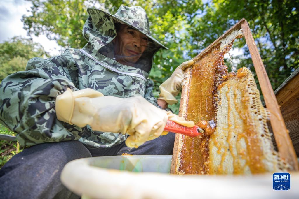 杰克棋牌手机端